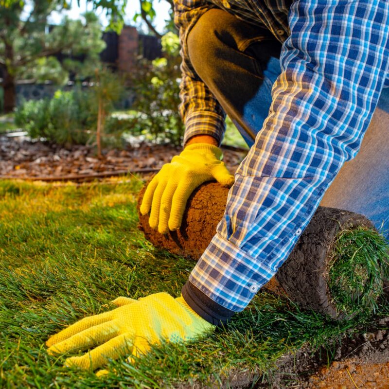 Entretien de vos espaces verts pr&egrave;s de Mulhouse et Altkirch Riedisheim
