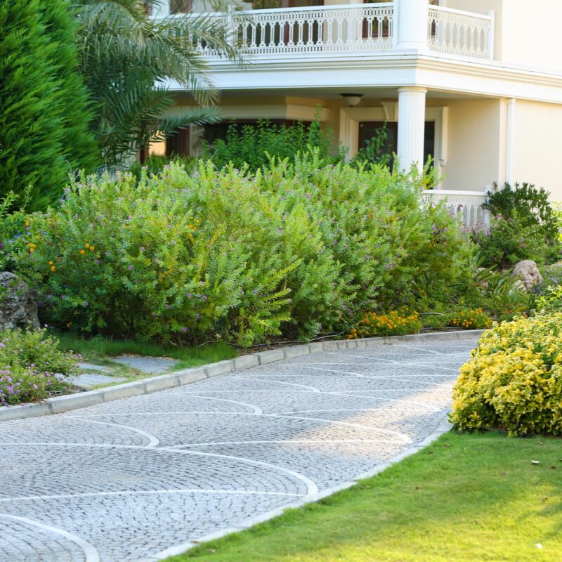 Comment entretenir sa pelouse ? Audincourt
