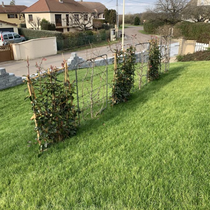 Entretien espaces verts Illzach