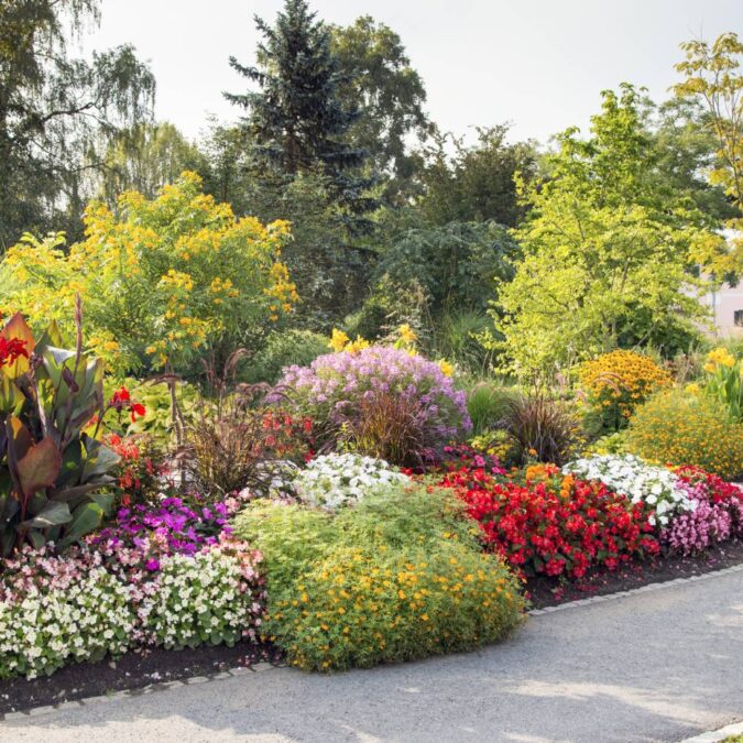 Comment choisir des plantes adapt&eacute;es &agrave; un massif v&eacute;g&eacute;tal en zone s&egrave;che ? Belfort