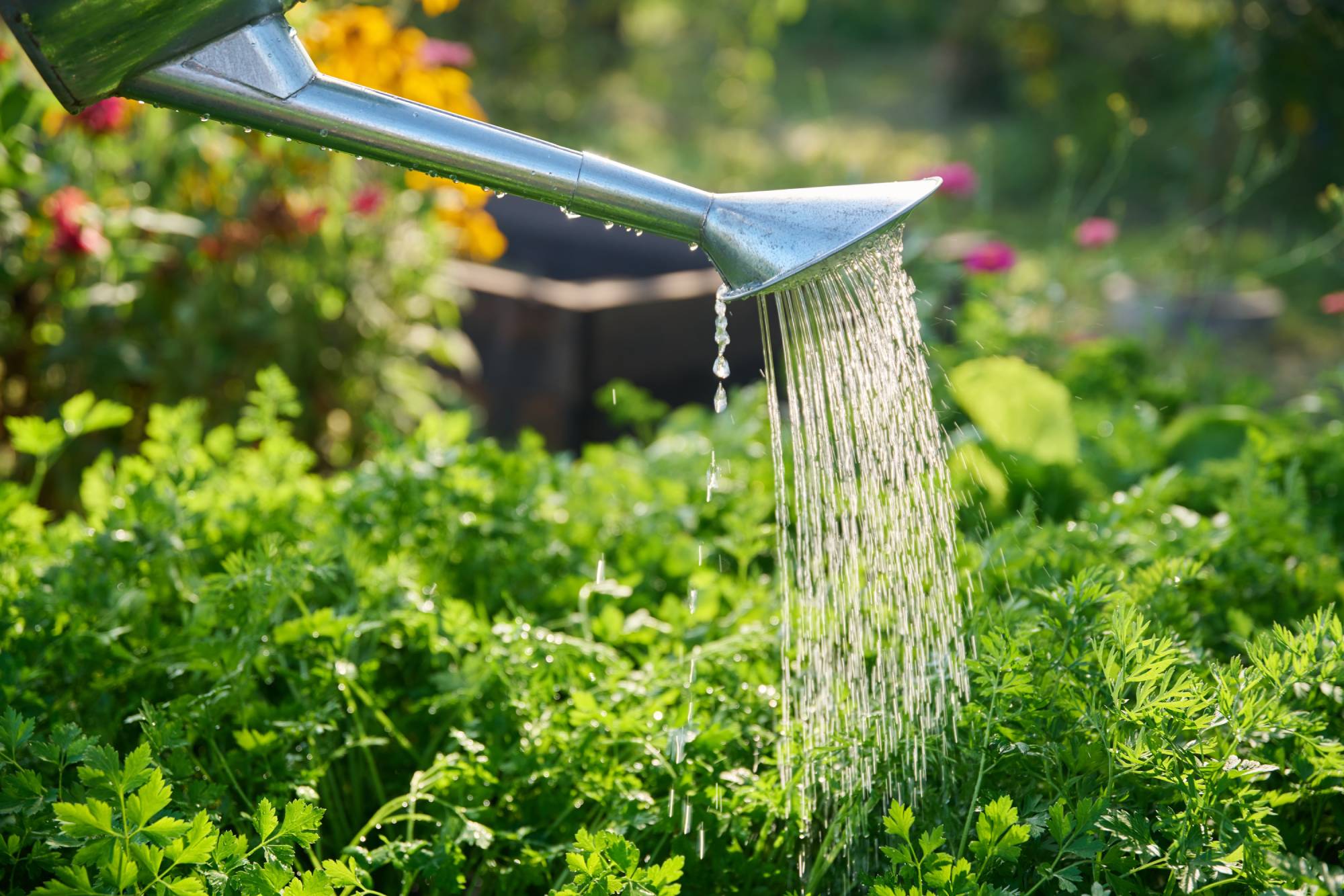 AROSOIR | RP Paysage 8 outils essentiels pour entretenir votre jardin en été Rixheim 6