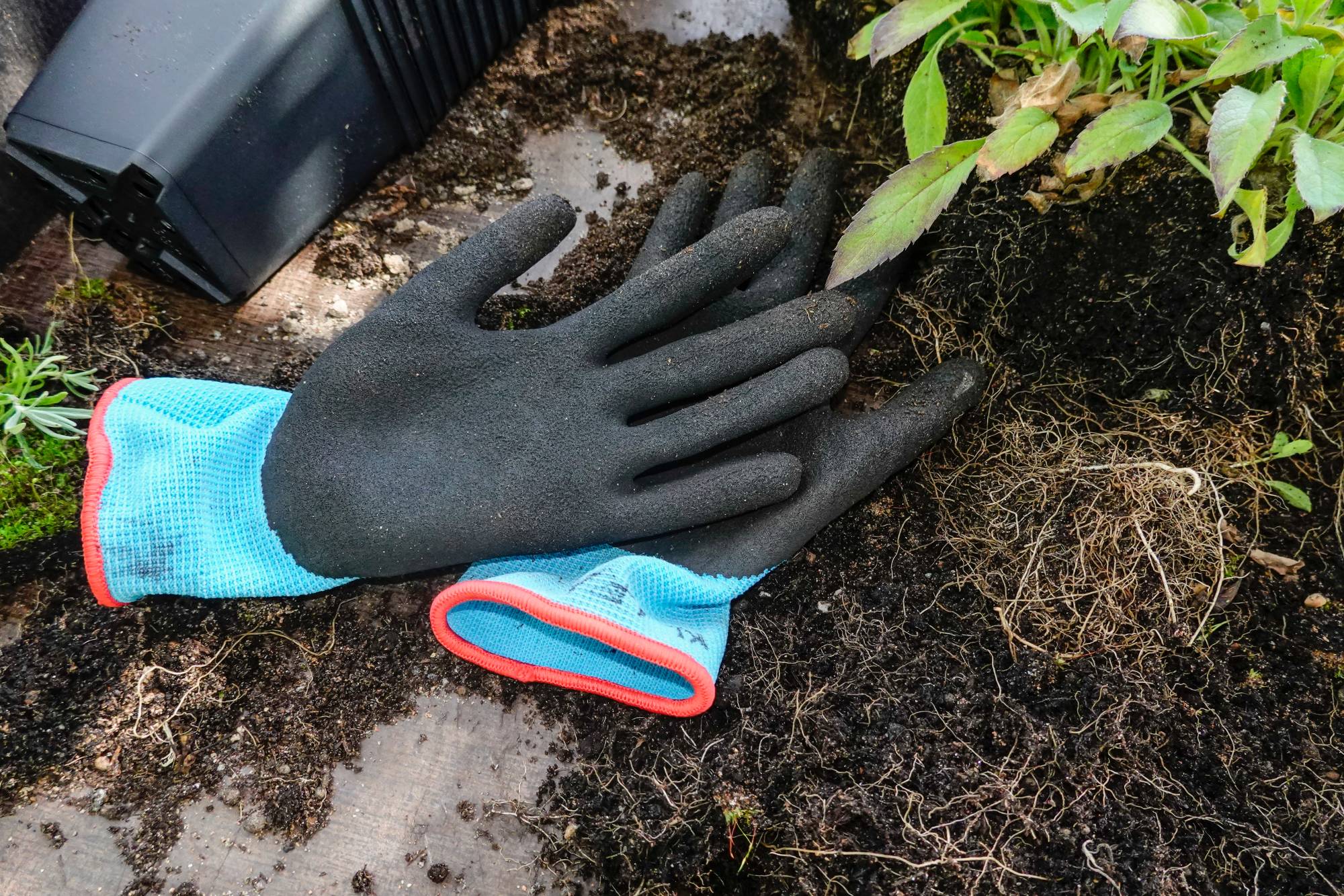 GANT | RP Paysage 8 outils essentiels pour entretenir votre jardin en été Montbéliard 5